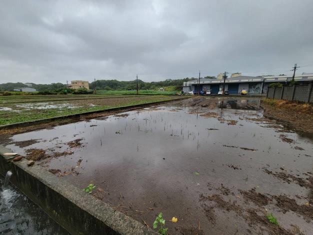 豪雨釀災水淹農作 桃市農業局勘災應變助農民 (8)