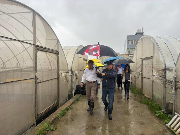 豪雨釀災水淹農作 桃市農業局勘災應變助農民 (3)