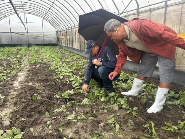 豪雨釀災水淹農作 桃市農業局勘災應變助農民 (5)