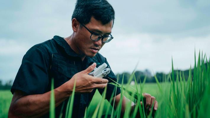 「桃園3號米」勇闖國際盃 桃園青農陳士賢勇奪日本稻米最高榮譽金賞獎