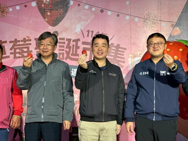 創新首辦！桃園草莓食農聖誕市集開幕  草莓農場地圖、草莓氣泡飲首亮相 (5)