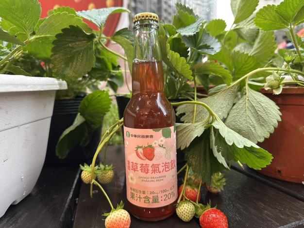 創新首辦！桃園草莓食農聖誕市集開幕  草莓農場地圖、草莓氣泡飲首亮相 (7)