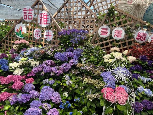 自產種苗、智農管理 桃園花卉青農吳承燁獲「全國農業達人冠軍」 (5)