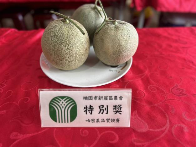 115年新屋哈蜜瓜評鑑-特別獎-最甜哈密瓜王