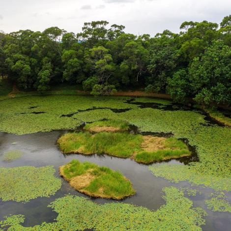 高榮野生動物保護區彩照-2_0