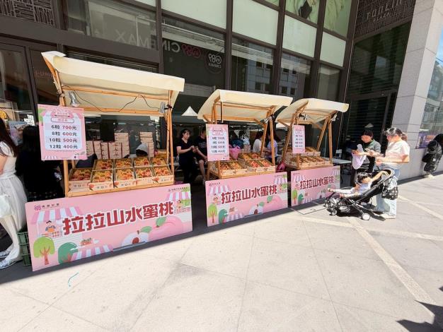桃園統領百貨實體展售