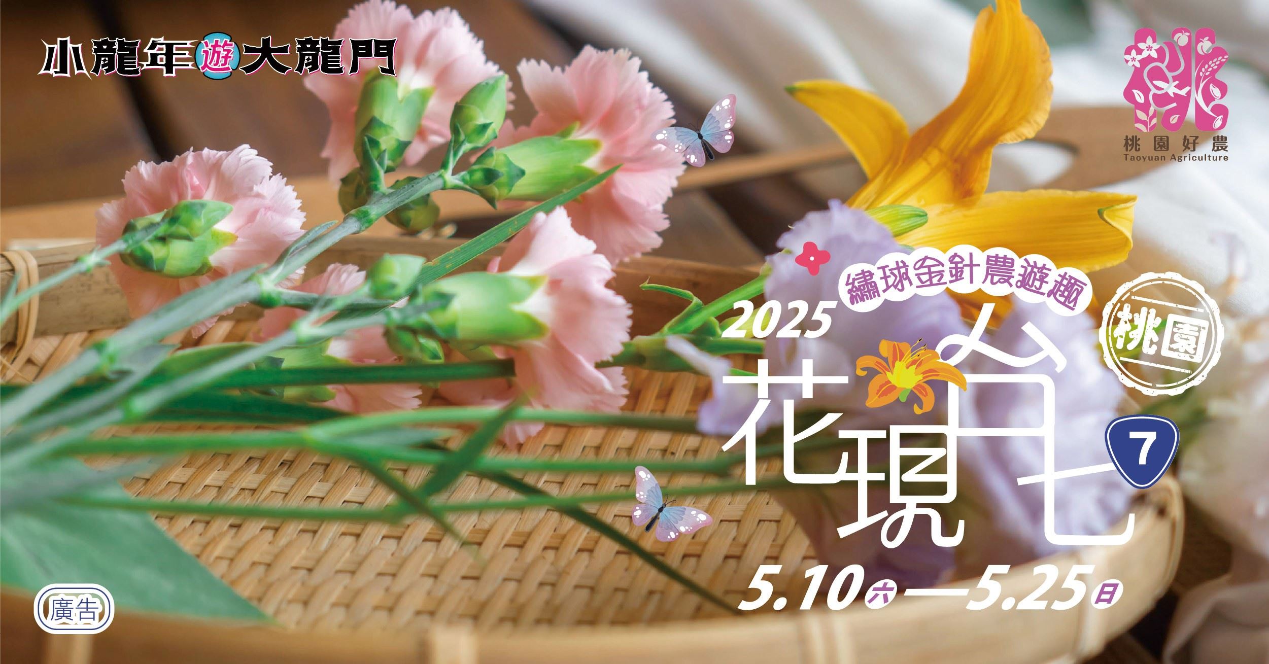 2025花現台七繡球金針農遊趣