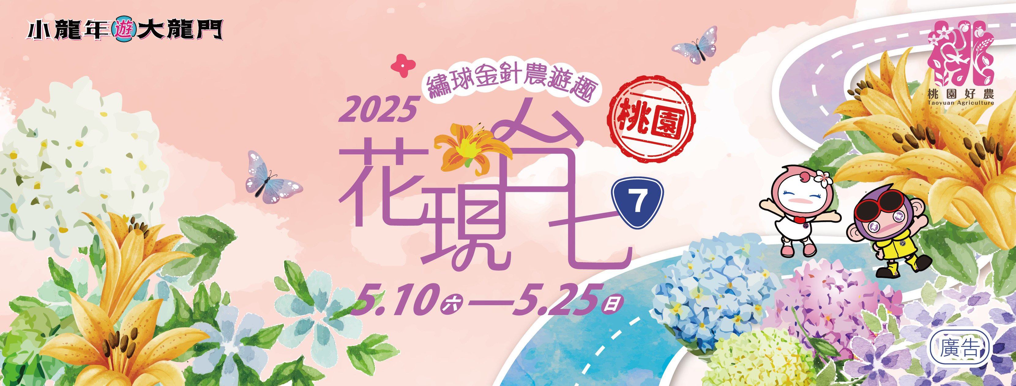 2025花現台七繡球金針農遊趣