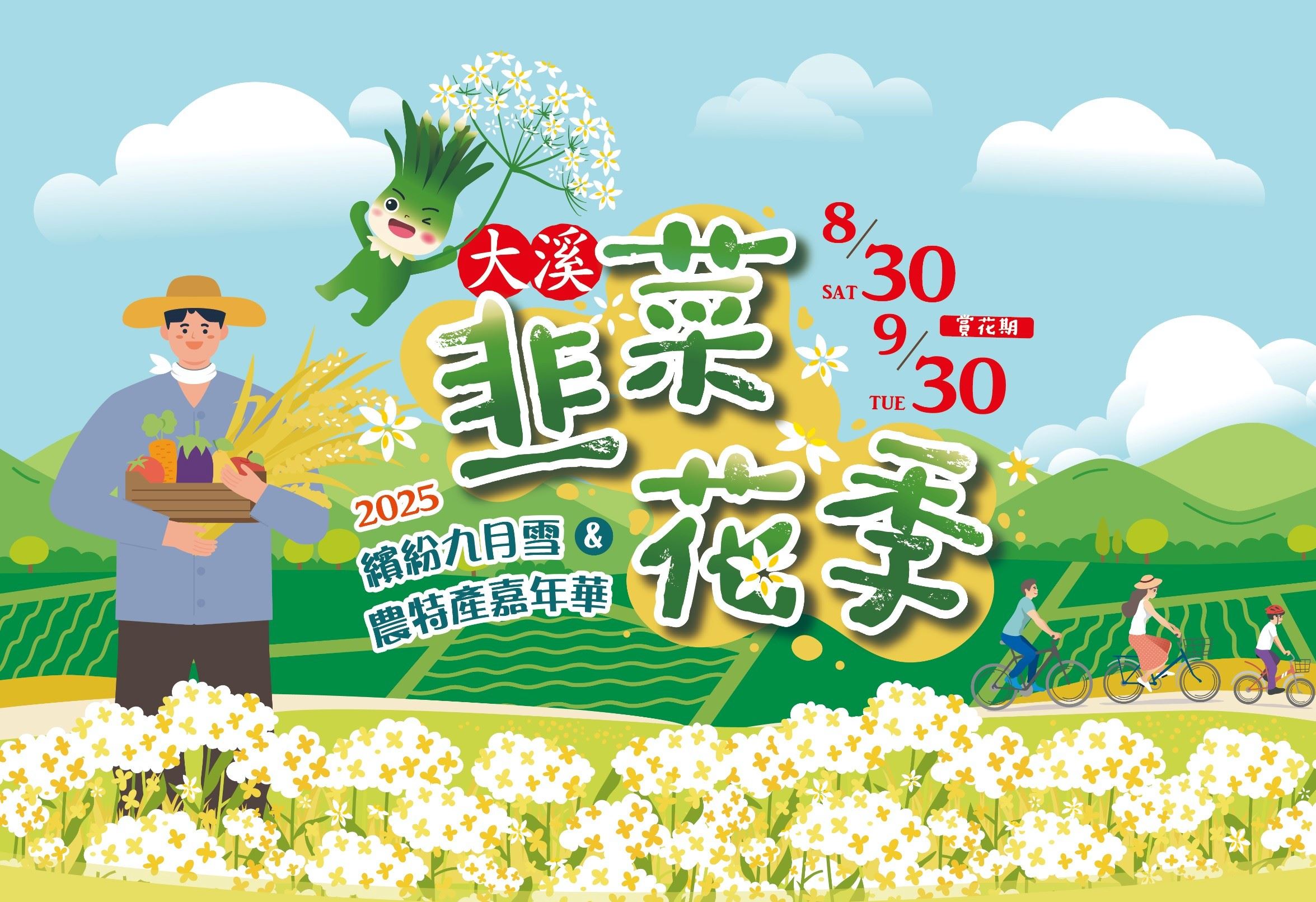 大溪韭菜花季