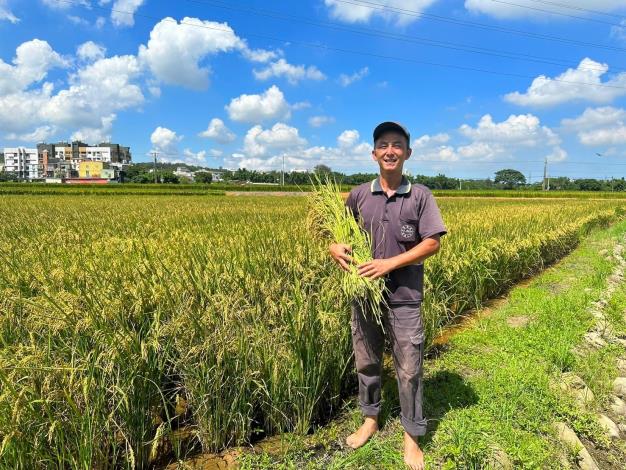 在地農民使用放流水供灌耕作收成