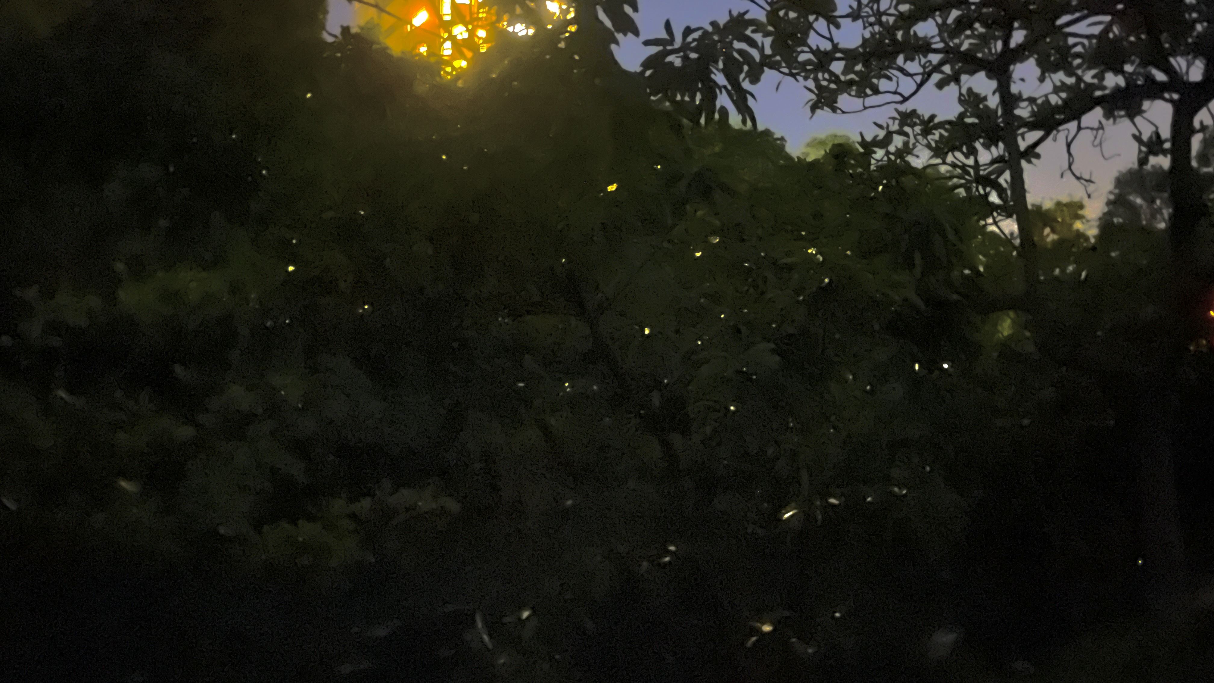 第二張