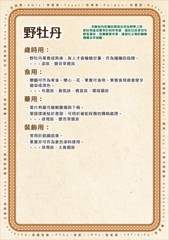 植栽Qrcode內容排版_野牡丹