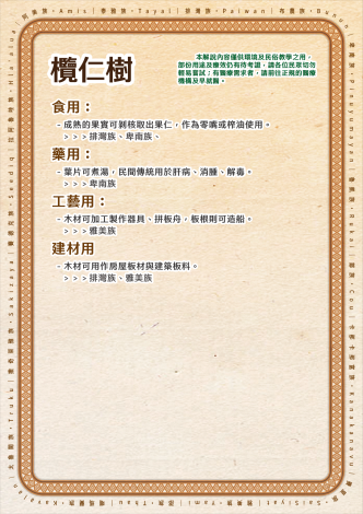 植栽Qrcode內容排版_欖仁樹