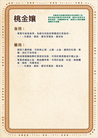 植栽Qrcode內容排版_桃金孃