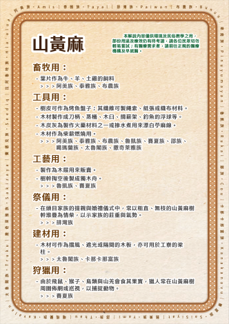 植栽Qrcode內容排版_山黃麻