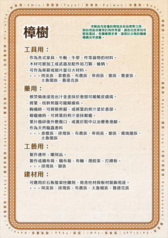 植栽Qrcode內容排版_樟樹