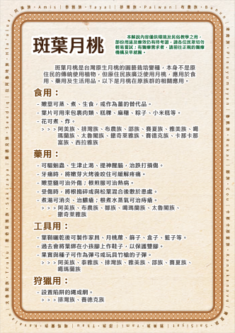 植栽Qrcode內容排版_斑葉月桃