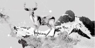wood art ecology(deer pictures)
