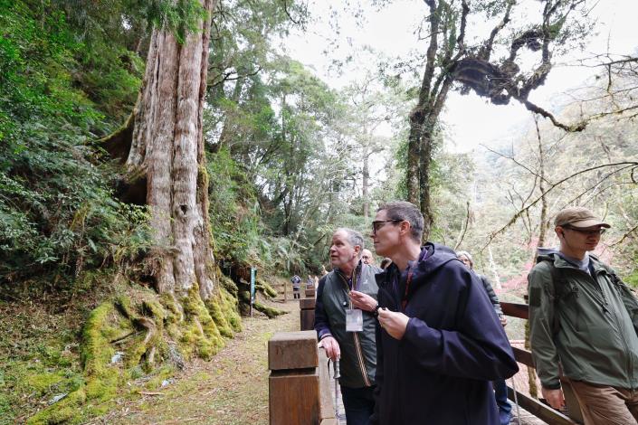 拉拉山為台灣數一數二孕育千年神木的區域，是北部都市近郊非常難得一見的秘境