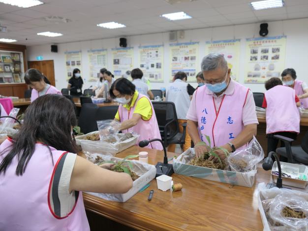 志工學習鹿角蕨上板，透過手作感受植物帶來的放鬆力量