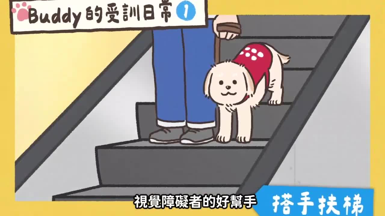 導盲犬宣導影片