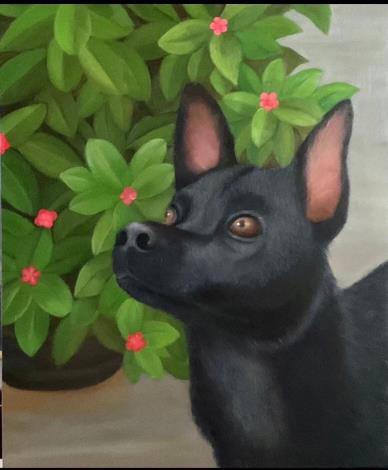 黑妞