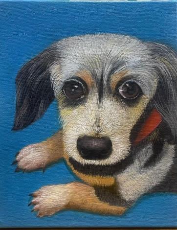 柯淑繁－寶貝丫丫