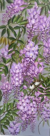 彭沛琪－紫色之戀