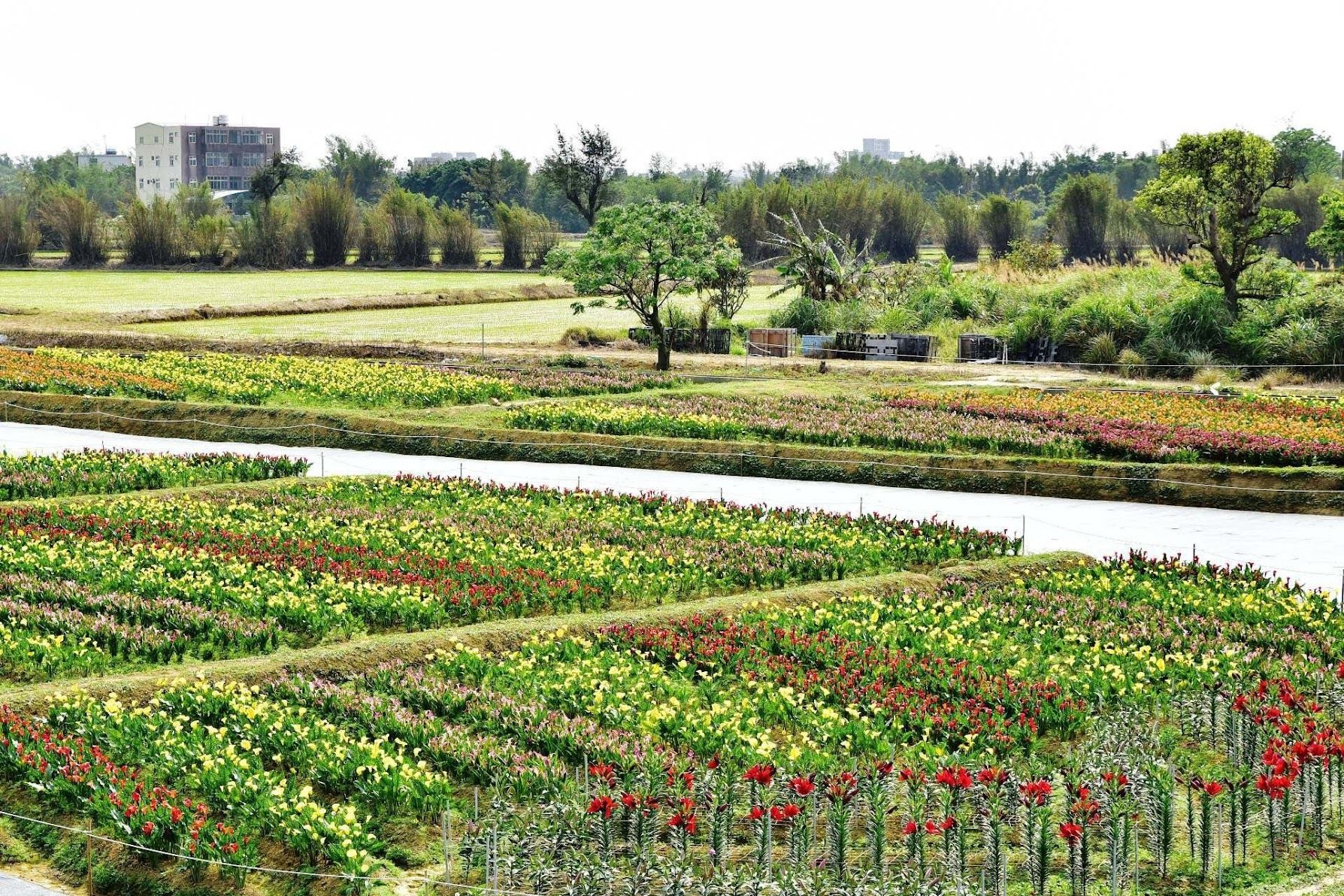 Xihai in Dayuan District