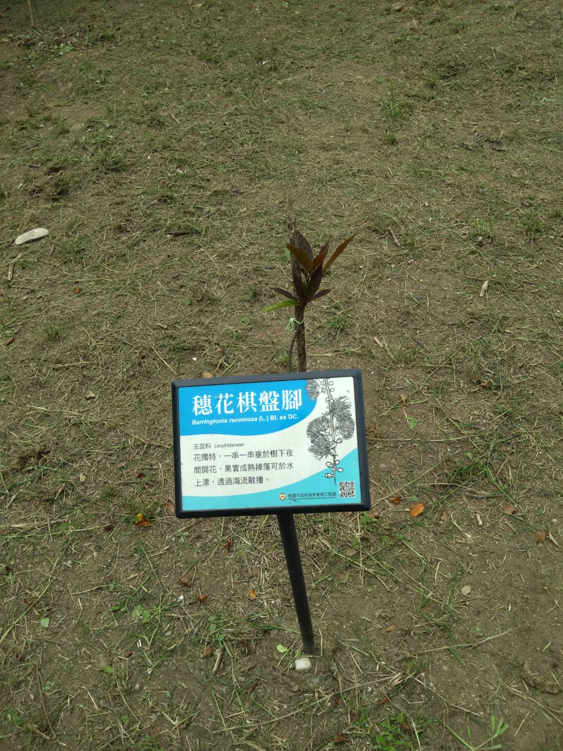 /001/Upload/191/relpic/-1/191/912c1a65-b281-4d00-adfc-d3f95c86f0b0.jpg