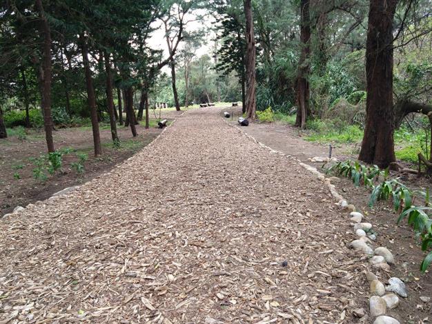 植物園漂流木碎木步道_0