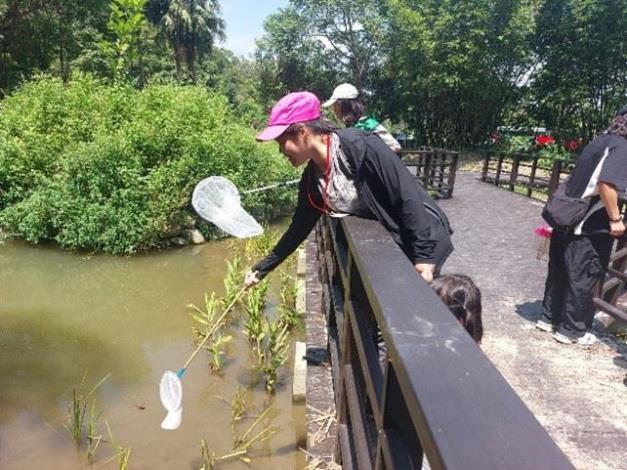 講師解說園區生態及學員實際操作捕撈，提升學員學員對於濕地環境生態相保育的概念及瞭解各種濕地生物的調查方法。