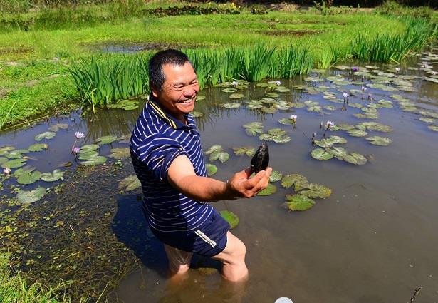 吳聲昱老師撈起田蚌 展示生態復育之效