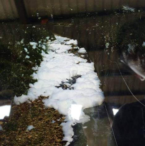 環保局查獲龜山聖隆物流公司排放泡沫廢水，污染南崁溪，依法重罰