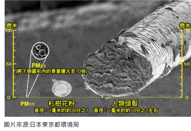 pm2.5直徑示意圖