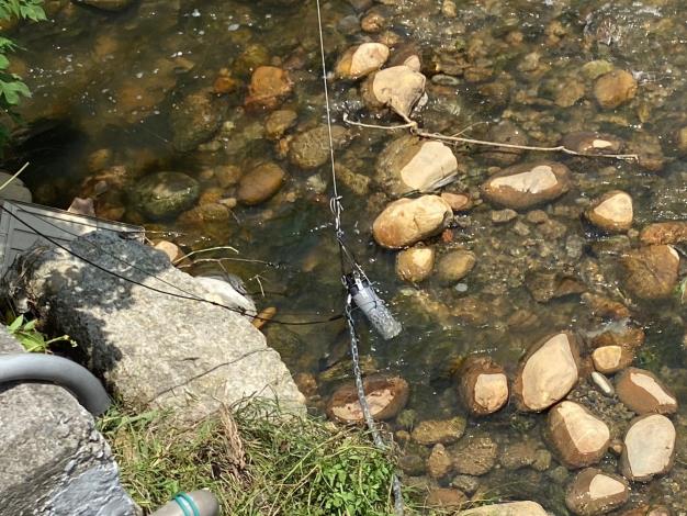 4-使用牽繩固定水質感測器元件