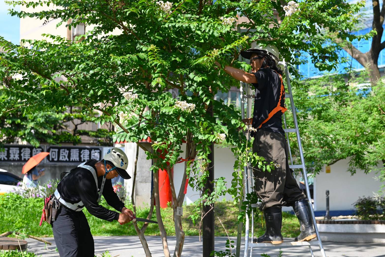 桃園環保局防範颱風「蝴蝶」效應 清潔隊總動員清溝防颱整備超前部署