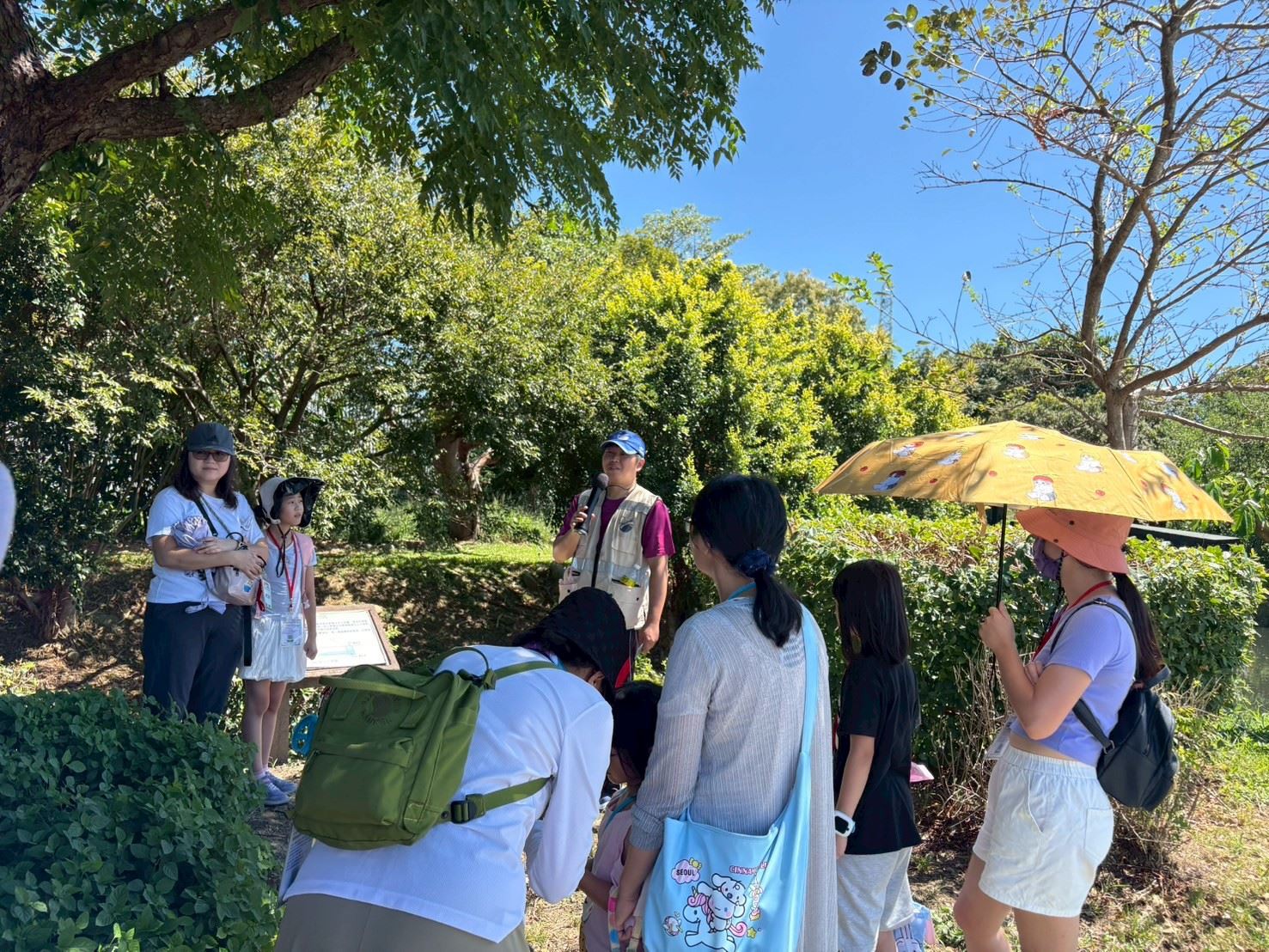 廢棄輪胎變花盆、頂樓會發電！ 桃園「淨零漫旅行」揭密城市隱藏版低碳生活(共5張)