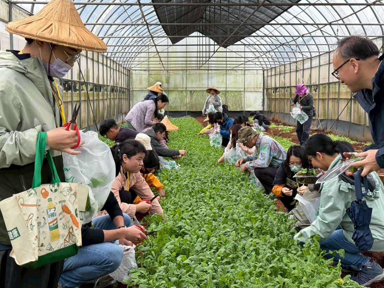 環教結合AI!桃園環保局推創意行銷工作坊 從農場到公益實踐永續行動(共3張)