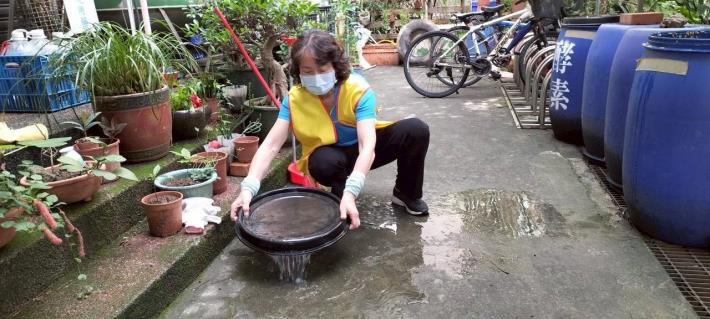 大雨過後嚴防登革熱與鼠患 桃園市環保局籲請民眾落實(共4張)