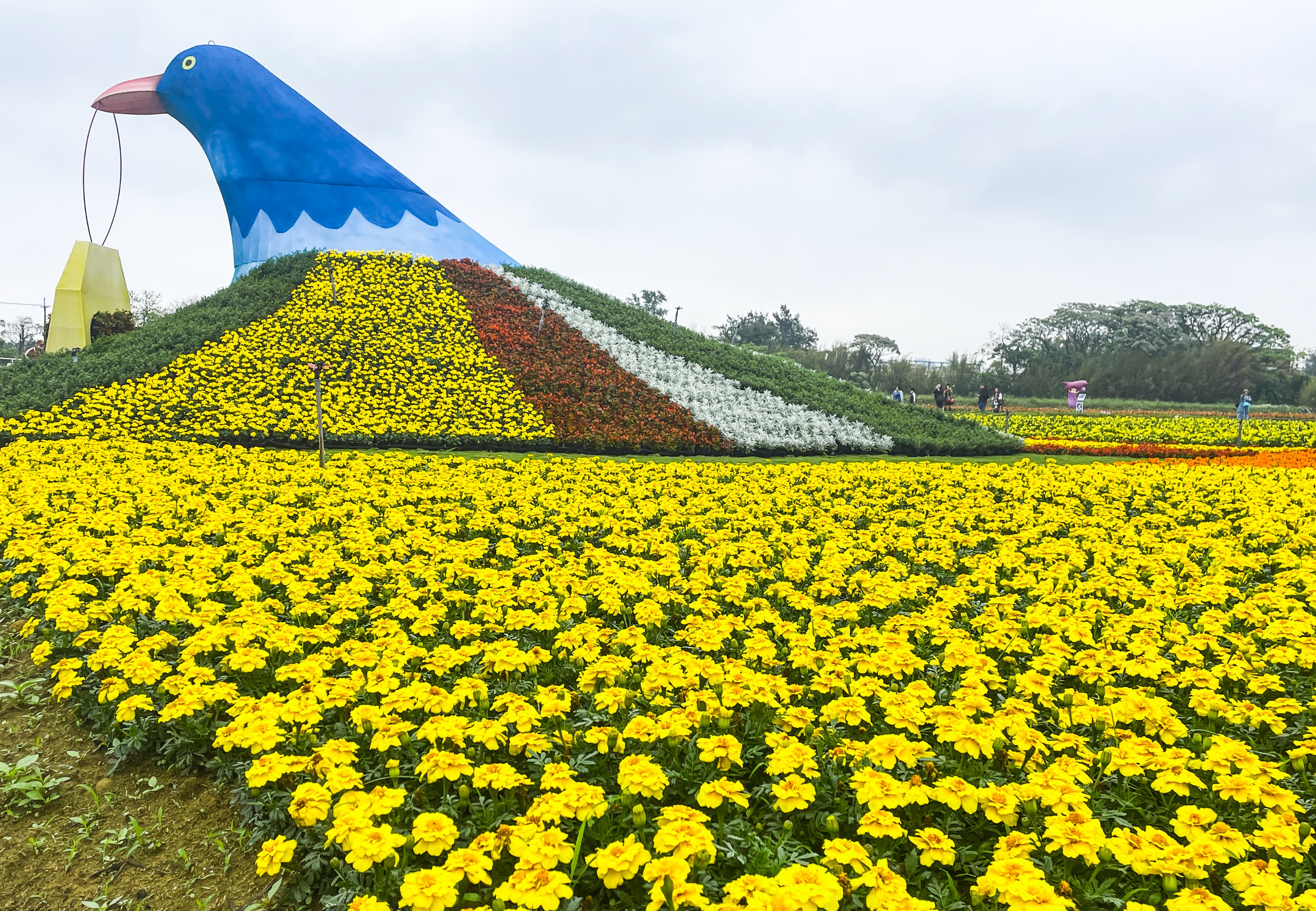 “2023 Taoyuan Colorful Calla Lily Season” thematic art installation “Green Bird”