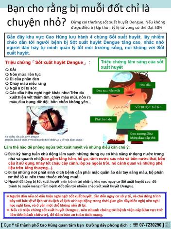 1120410 預防登革熱宣導-你以為被蚊子叮咬只是小事-越文