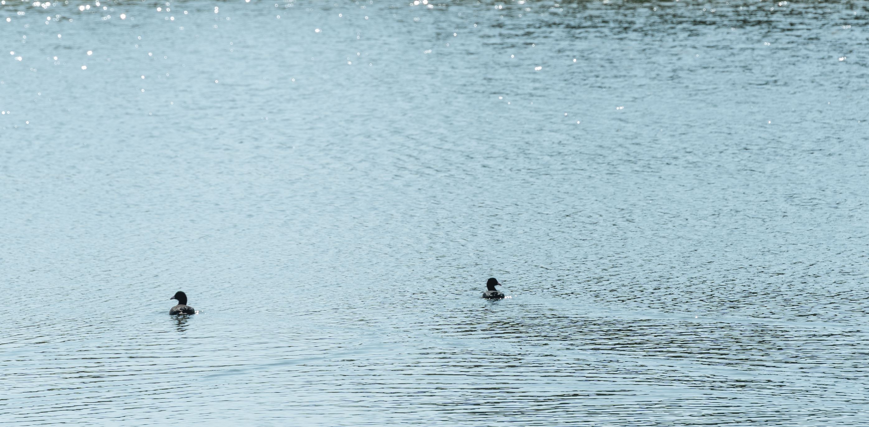《桃園誌》Vol.109〈春日偷閒〉