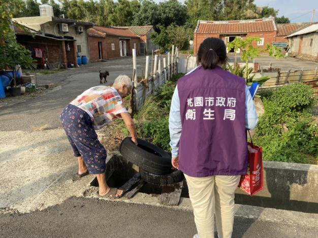登革熱孳清照片1