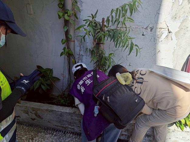 桃園本土登革熱累計4例之七