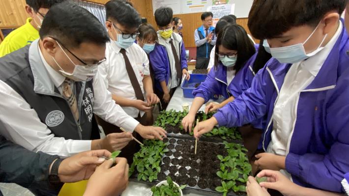 林明裕局長與學生一同進行仙草的栽種與加工