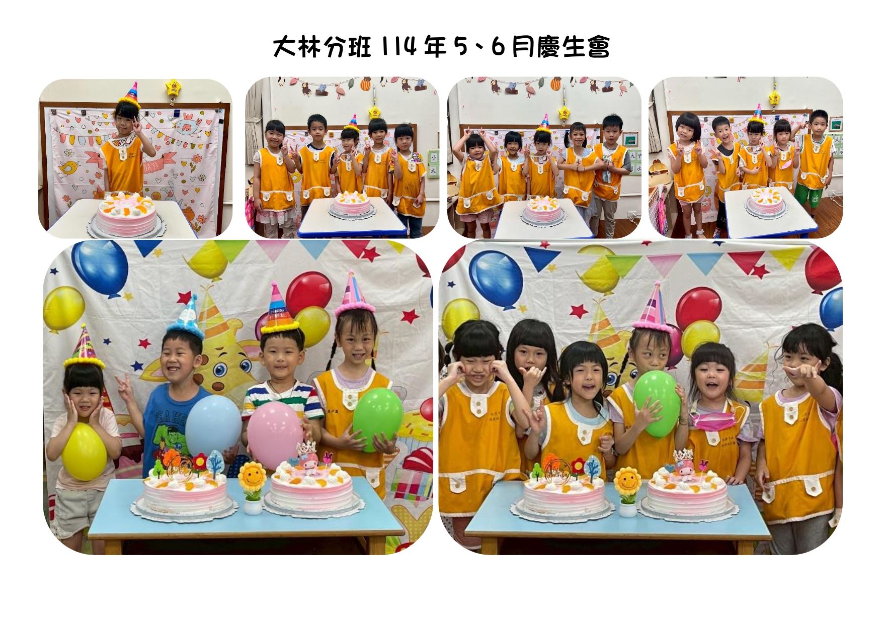 大林5生日照2_page-0001
