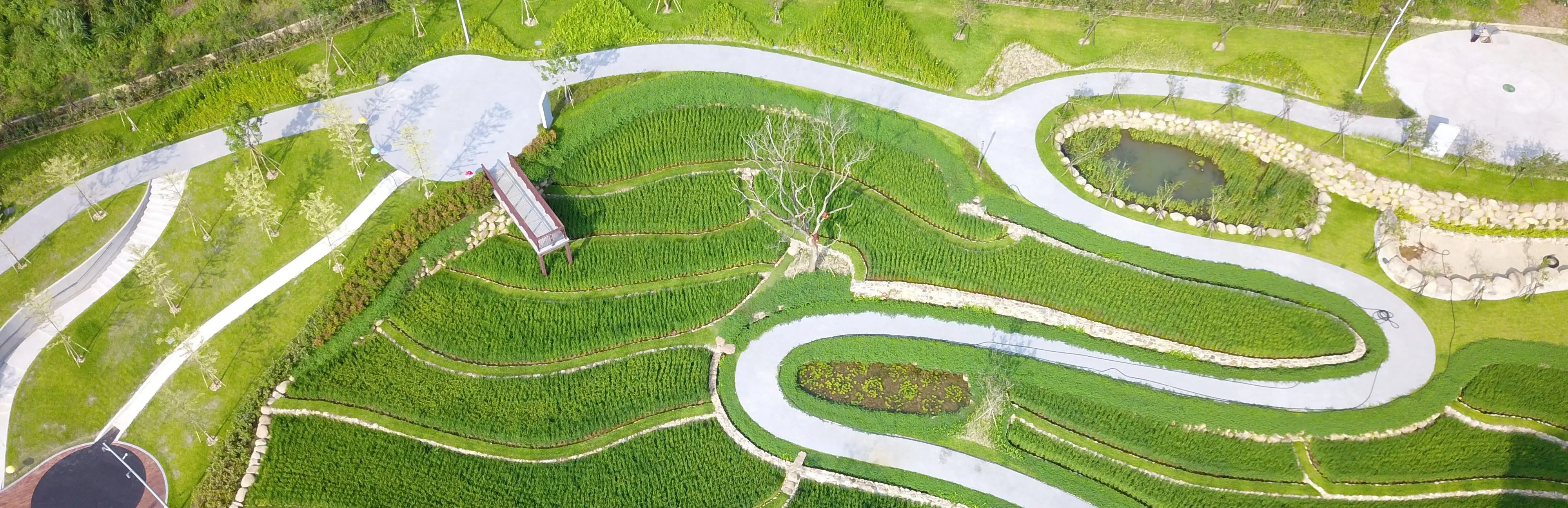 桃園大有生態公園