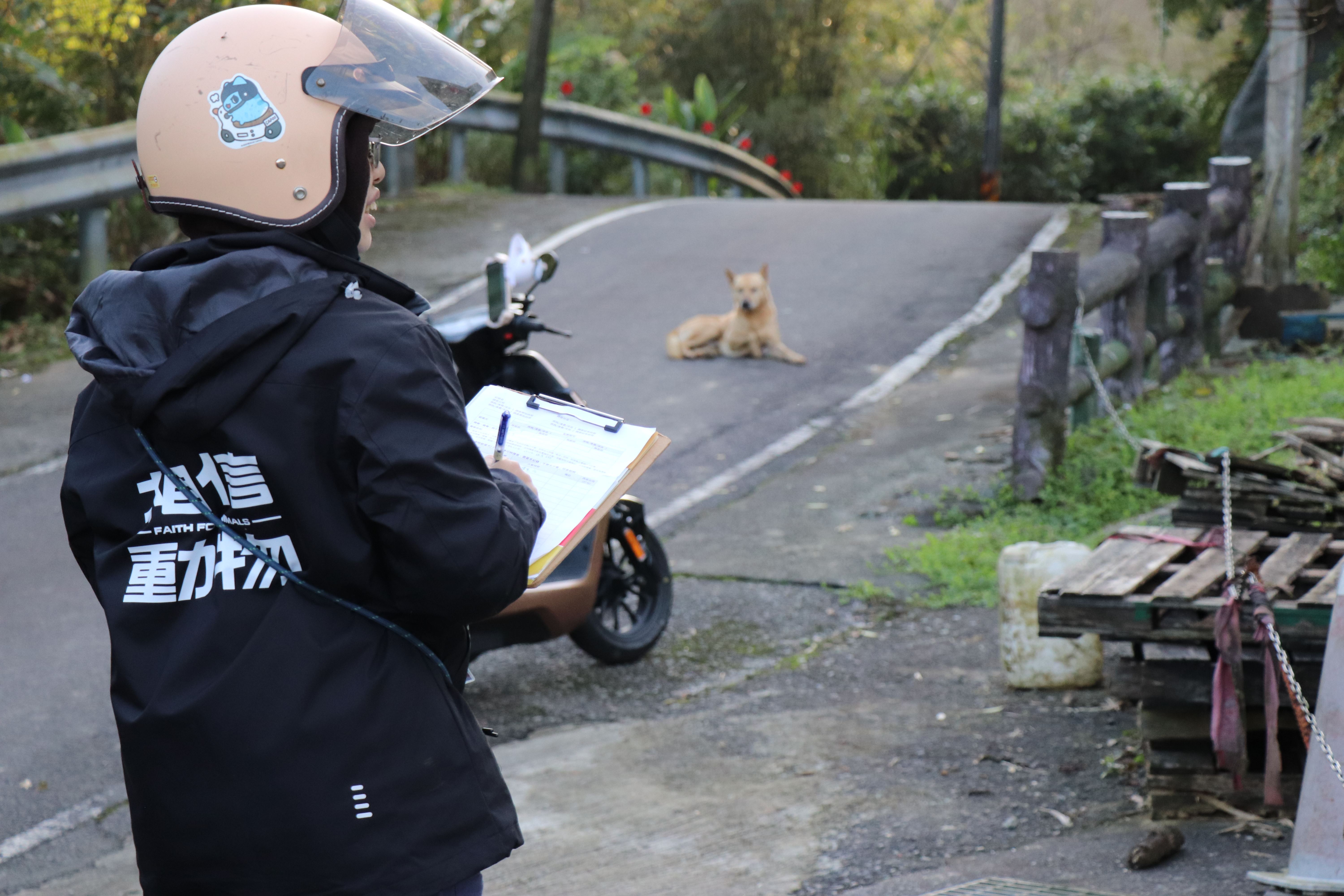   （圖二）台灣懷生相信動物協會調查員於清晨執行數狗調查任務，記錄遊蕩犬活動範圍與數量，為區域計畫前、後的階段性工作內容