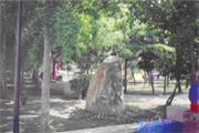 平鎮區公園-義興公園圖片(共兩張)
